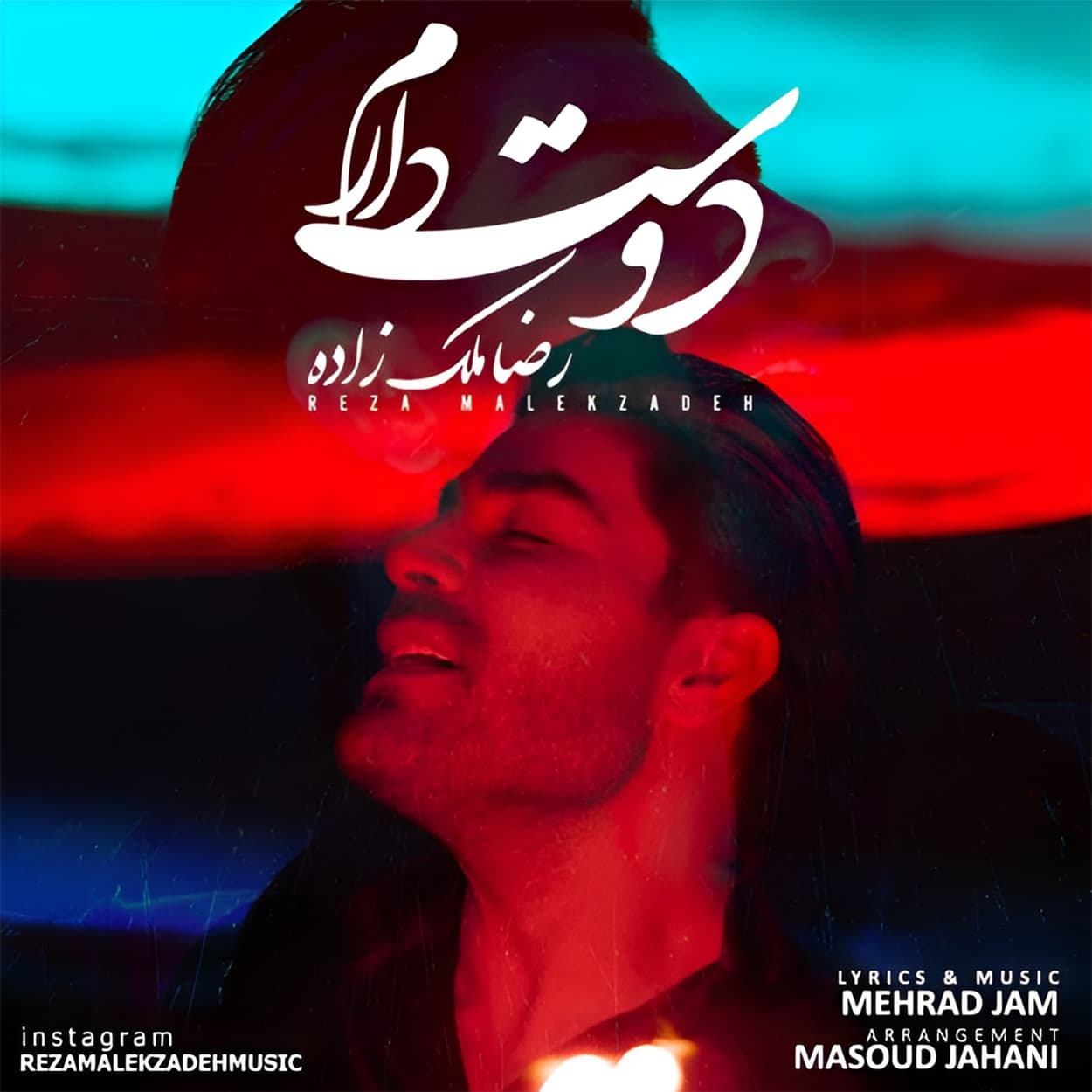 دانلود آهنگ دوست دارم از رضا ملک زاده